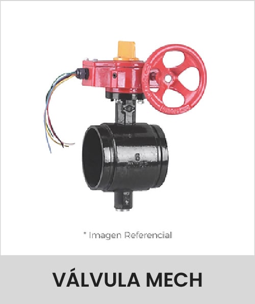 Descripción de la imagen